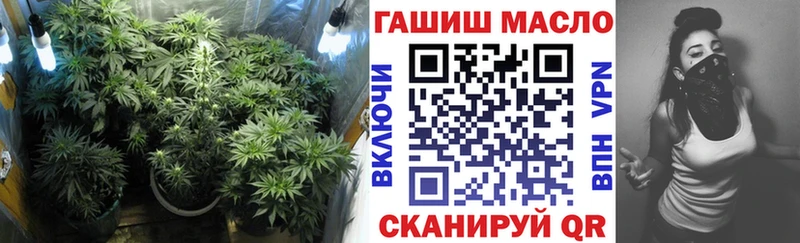 наркотики  Вилючинск  ТГК концентрат 