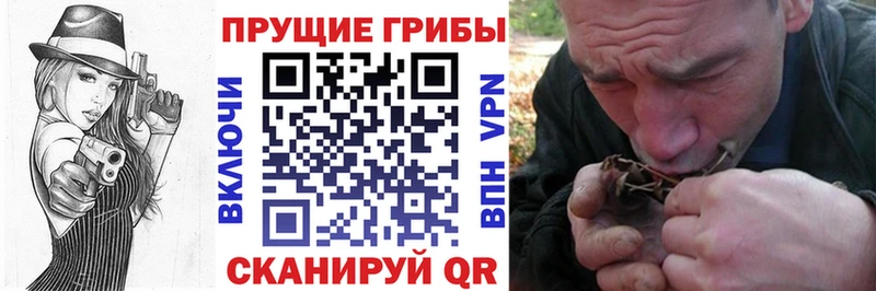 Галлюциногенные грибы мухоморы  купить наркотики сайты  Вилючинск 